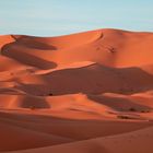 Traumhaft! - Die großen Dünen im Abendlicht. Sahara/Marokko