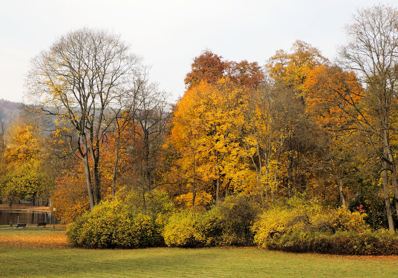 Traumhaft schön der Herbst …. 