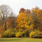 Traumhaft schön der Herbst …. 