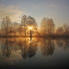 traumhaft schöner Morgen am Weiher