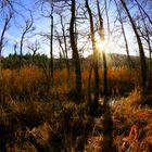 Traumhaft schöner Sonnentag am 3.1.2016