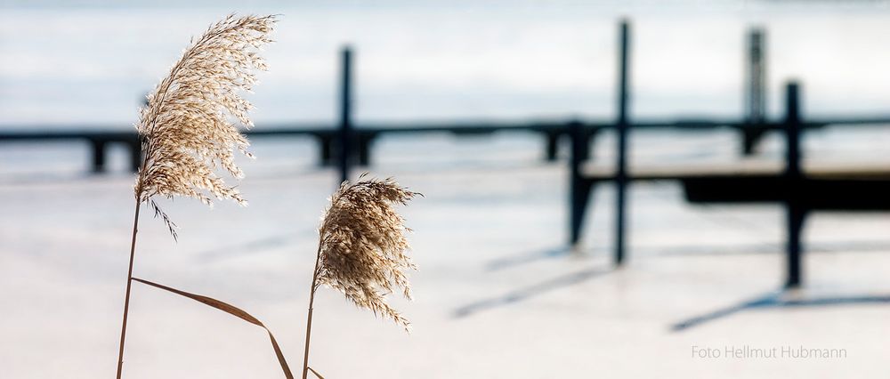 TRAUMHAFTE ERINNERUNG AN EINEN SEHR SONNIGEN WINTERTAG AM ZUGEFRORENEN TEGELER SEE