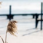 TRAUMHAFTE ERINNERUNG AN EINEN SEHR SONNIGEN WINTERTAG AM ZUGEFRORENEN TEGELER SEE