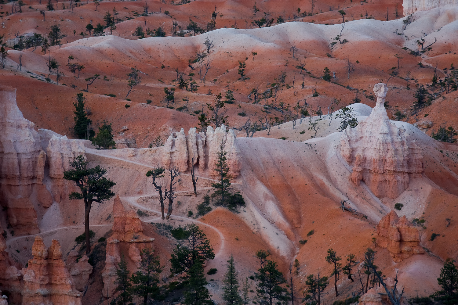 Traumhafte Landschaft - Bryce Canyon