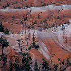 Traumhafte Landschaft - Bryce Canyon