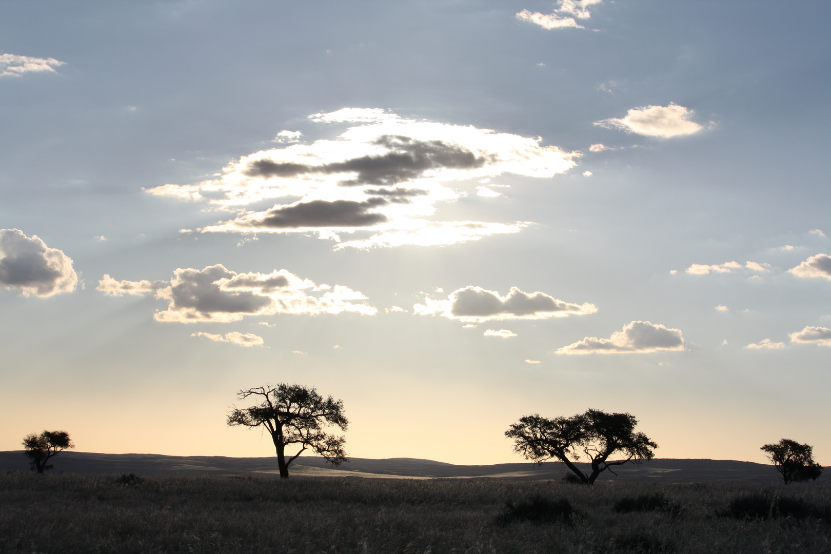 traumhafte Landschaft in Namibia