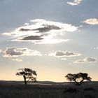 traumhafte Landschaft in Namibia