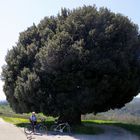 traumhafte Radtour in der Toskana