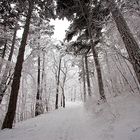 Traumhafte Schneelandschaft