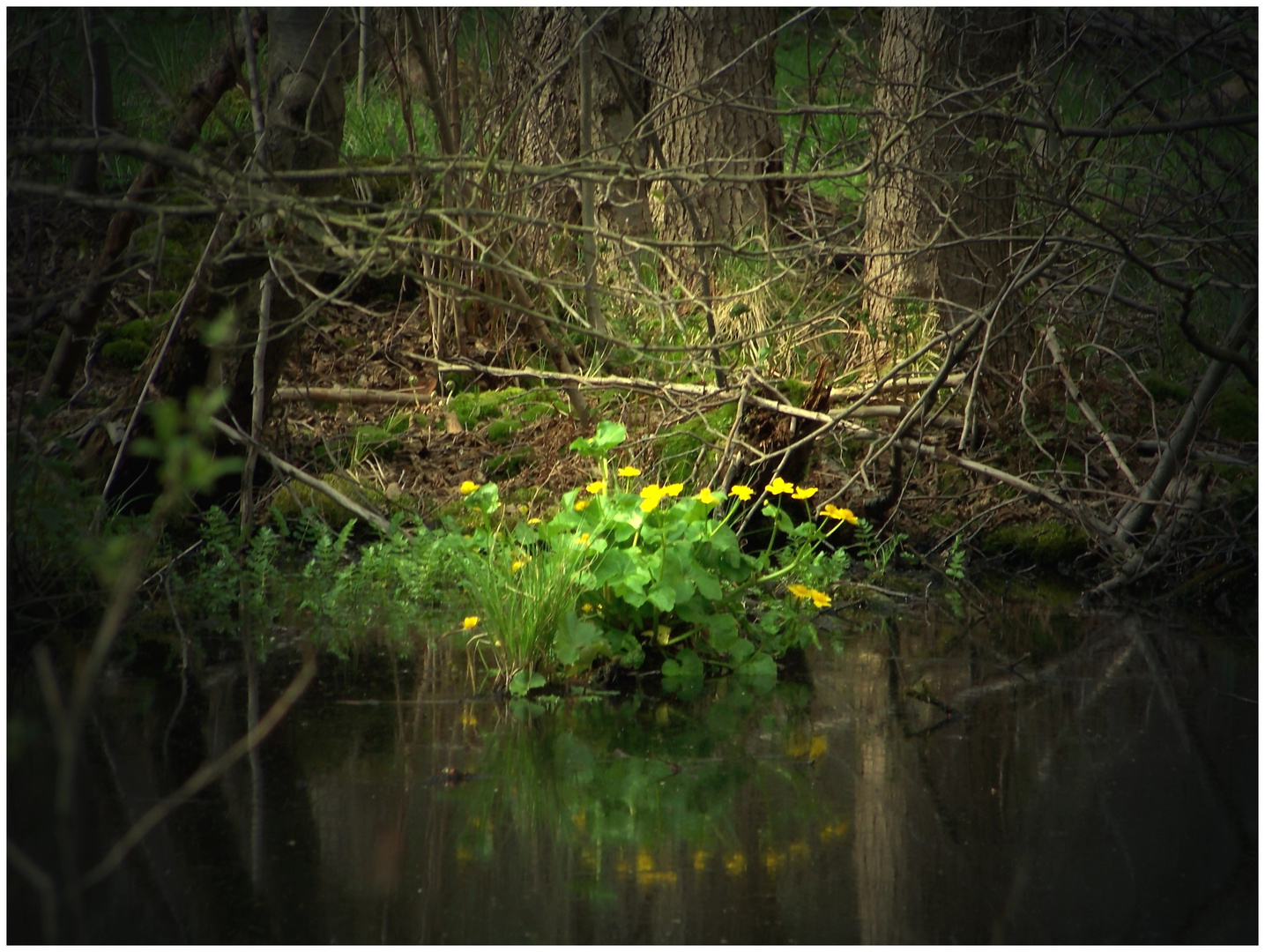 Traumhafte Stille