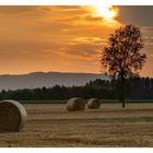 Traumhafte Stimmung in der Emilia Romana