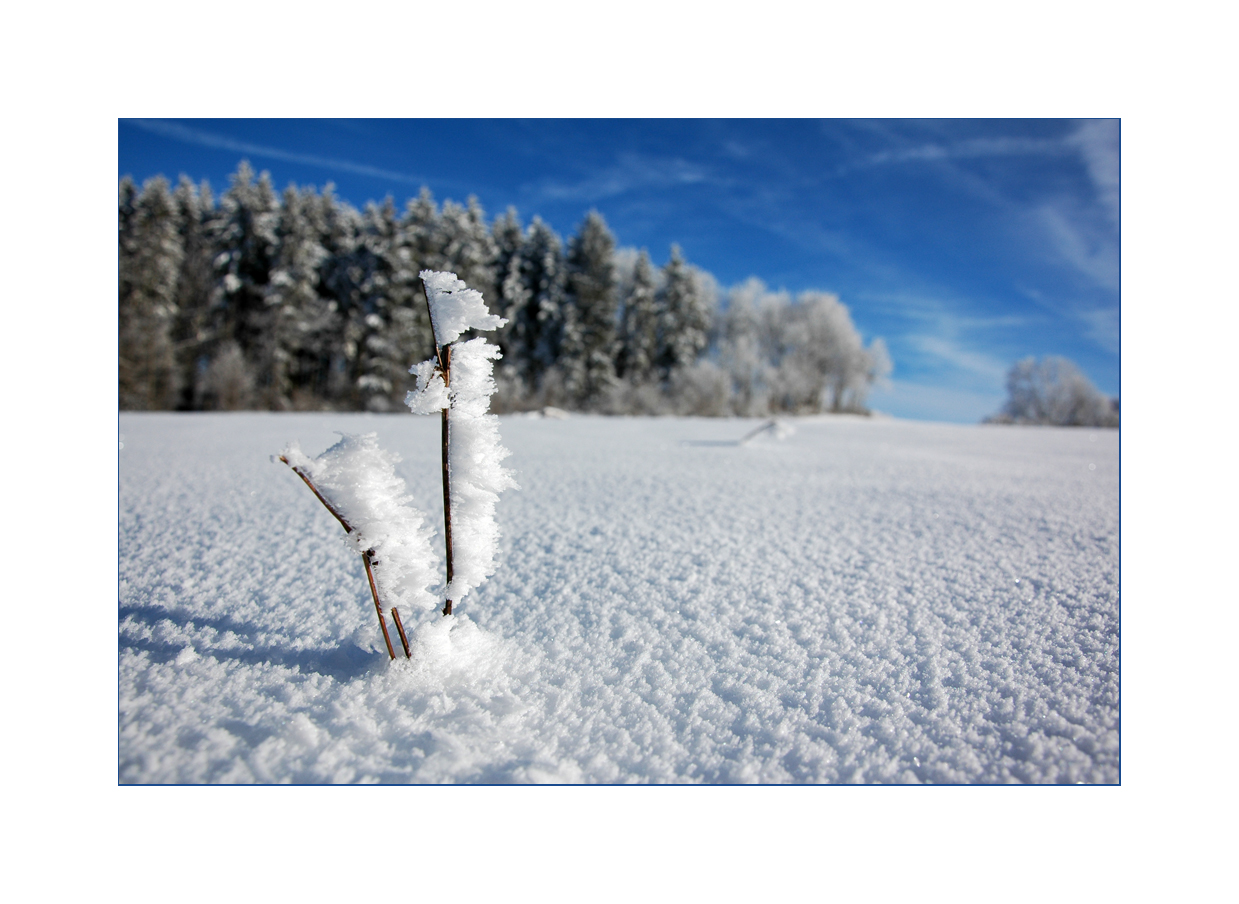 traumhafte Winterlandschaft