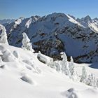 Traumhafte Winterlandschaft auf dem Breitenberg!