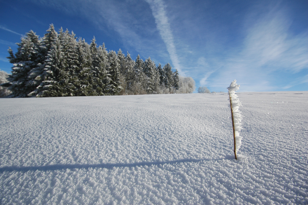 traumhafte Winterlandschaft II