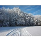 traumhafte Winterlandschaft III