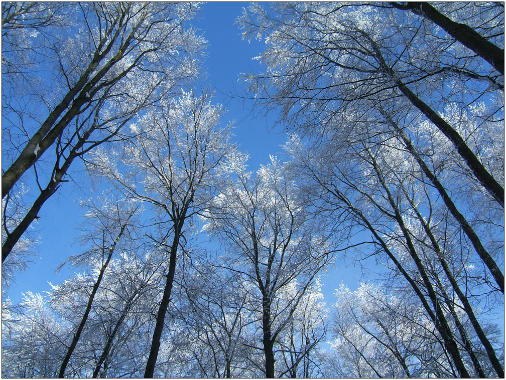 traumhafte Winterlandschaft IV