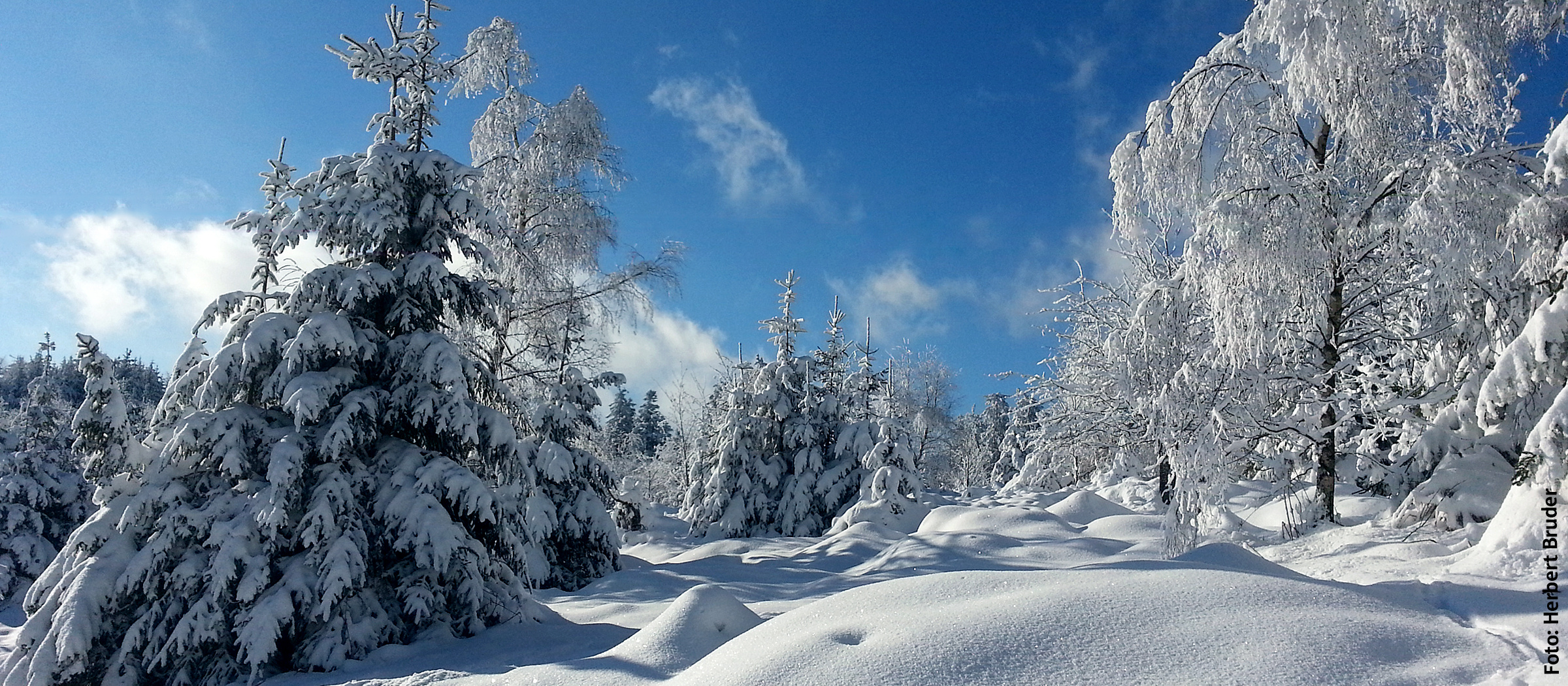 Traumhafte Winterlandschft Nordrach Siedigkopf