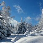 Traumhafte Winterlandschft Nordrach Siedigkopf