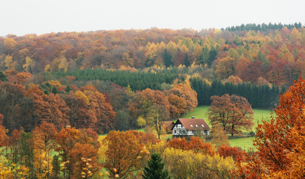 Traumhafte Wohnlage