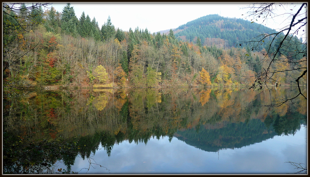 Traumhafter Blick auf den Bergsee...