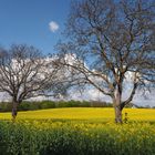 Traumhafter Frühling