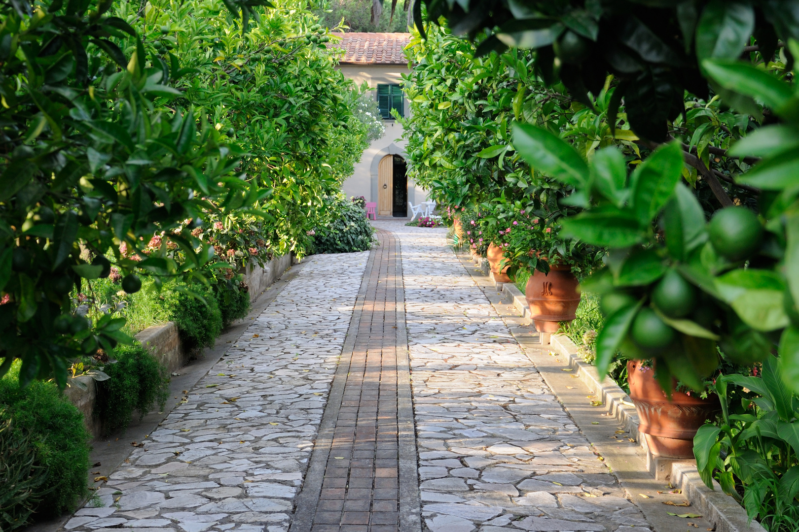 Traumhafter Gartenweg