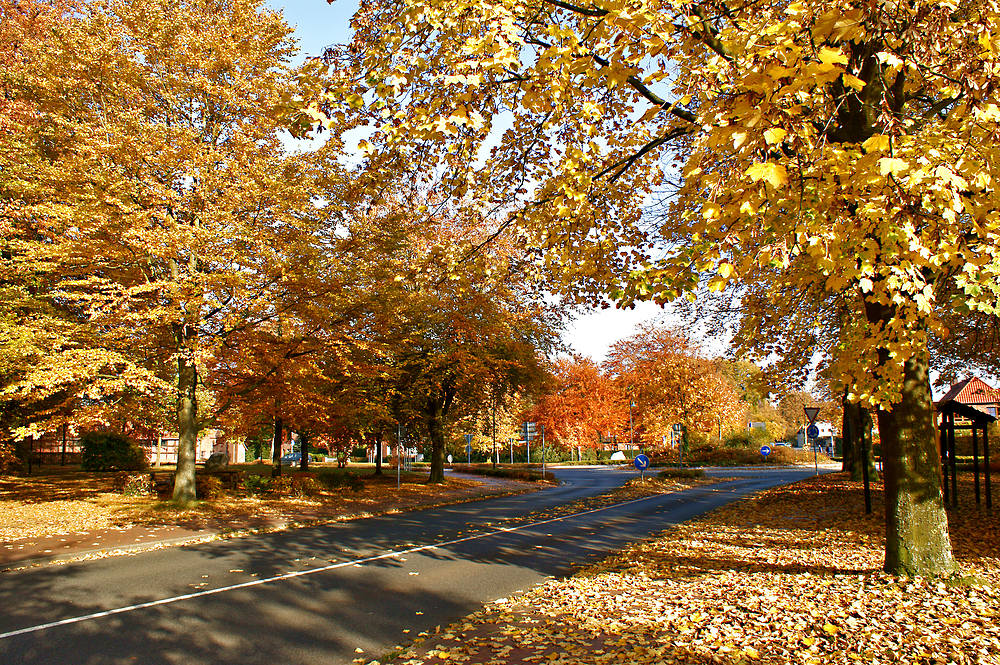 Traumhafter goldener Herbst