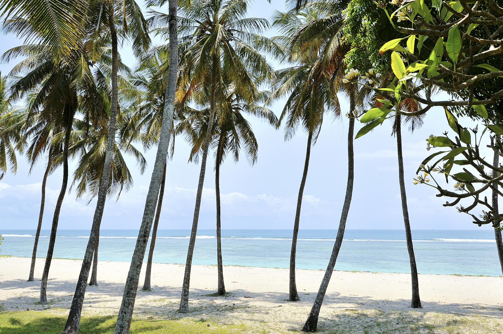 Traumhafter Palmenstrand in Kenia