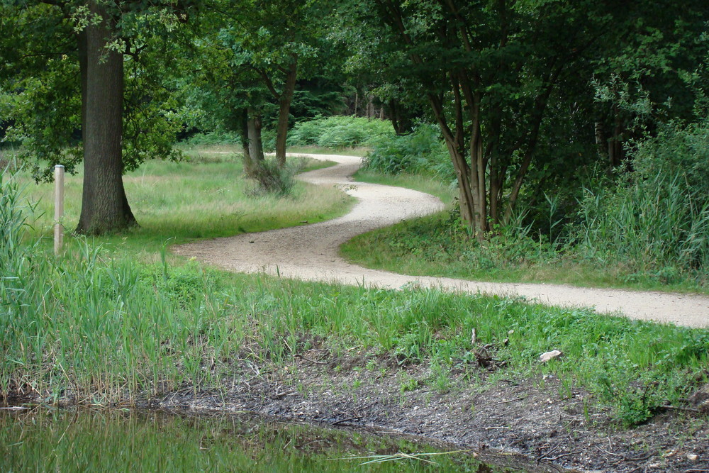 traumhafter Radweg