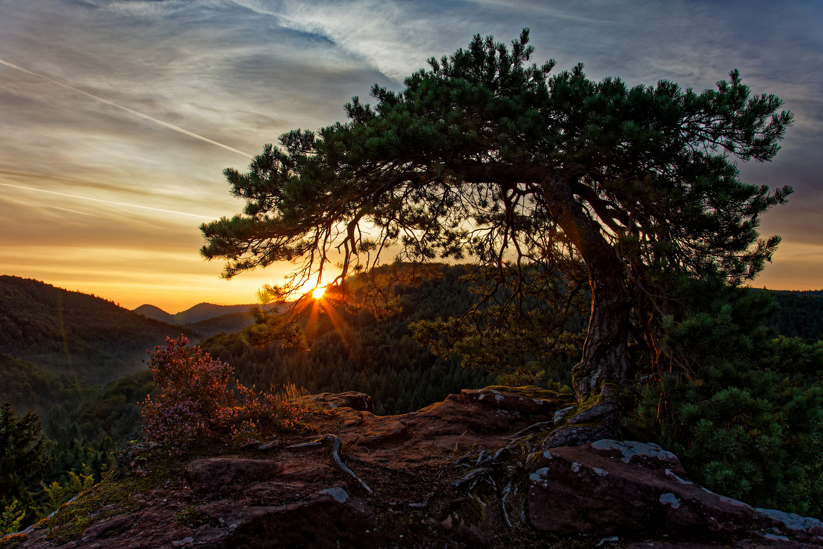 Traumhafter Sonnenaufgang auf einem Burgfelsen im Pfälzer Wald