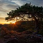 Traumhafter Sonnenaufgang auf einem Burgfelsen im Pfälzer Wald