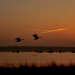 Traumhafter Sonnenaufgang im Bauernmoor