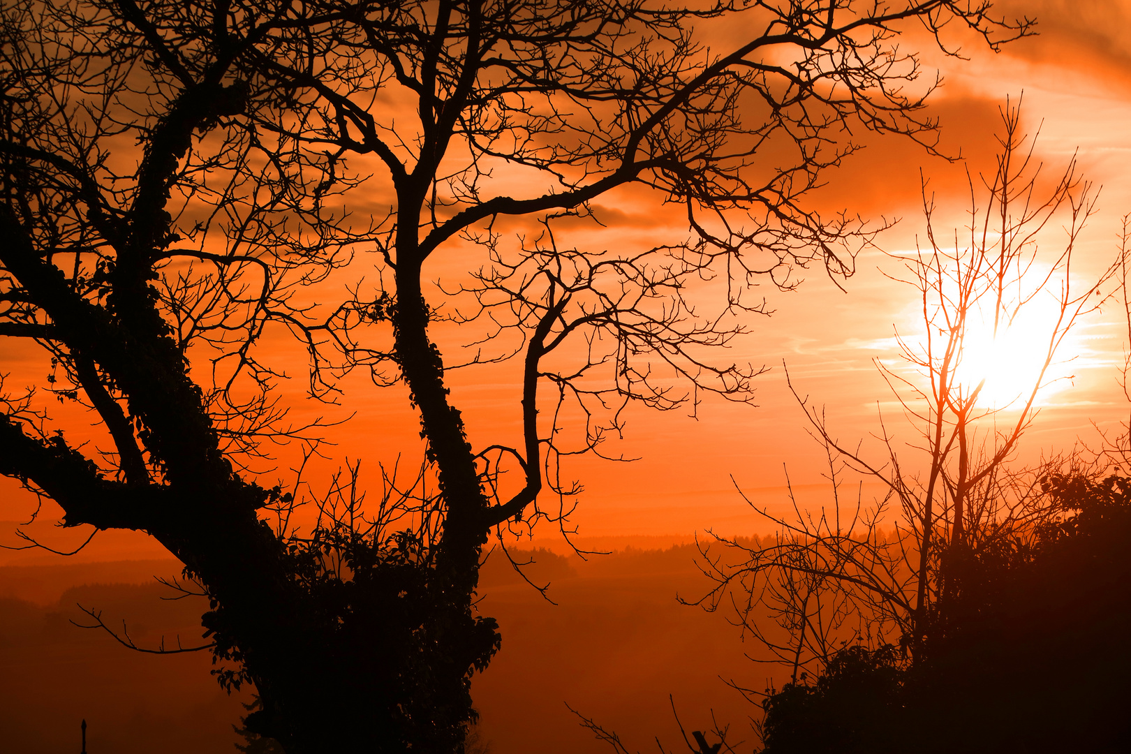 Traumhafter Sonnenuntergang am Rauhen Kulm in der Oberpfalz