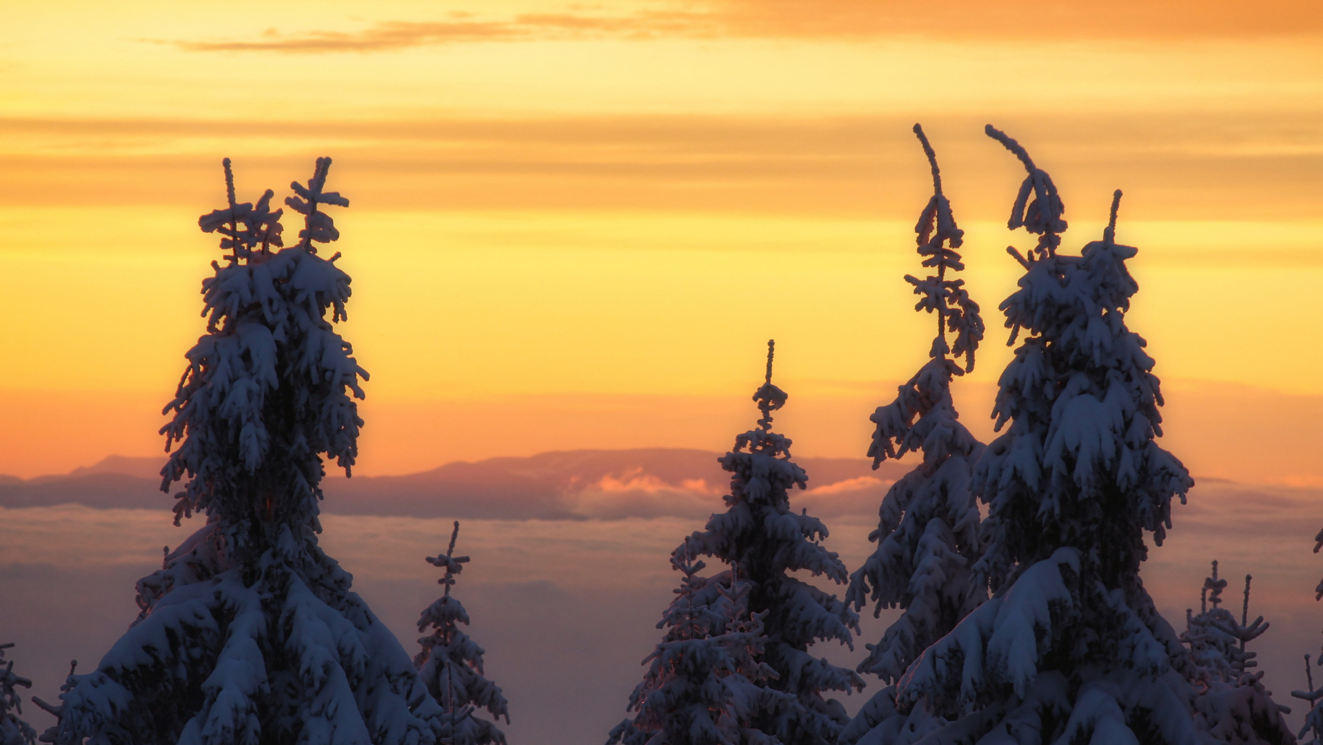 Traumhafter Sonnenuntergang auf der Schwarzwaldhochstraße