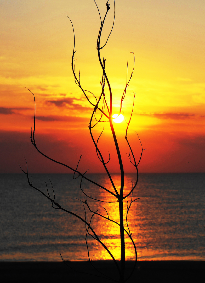 Traumhafter Sonnenuntergang