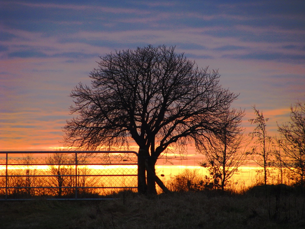 Traumhafter Sonneuntergang