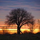 Traumhafter Sonneuntergang