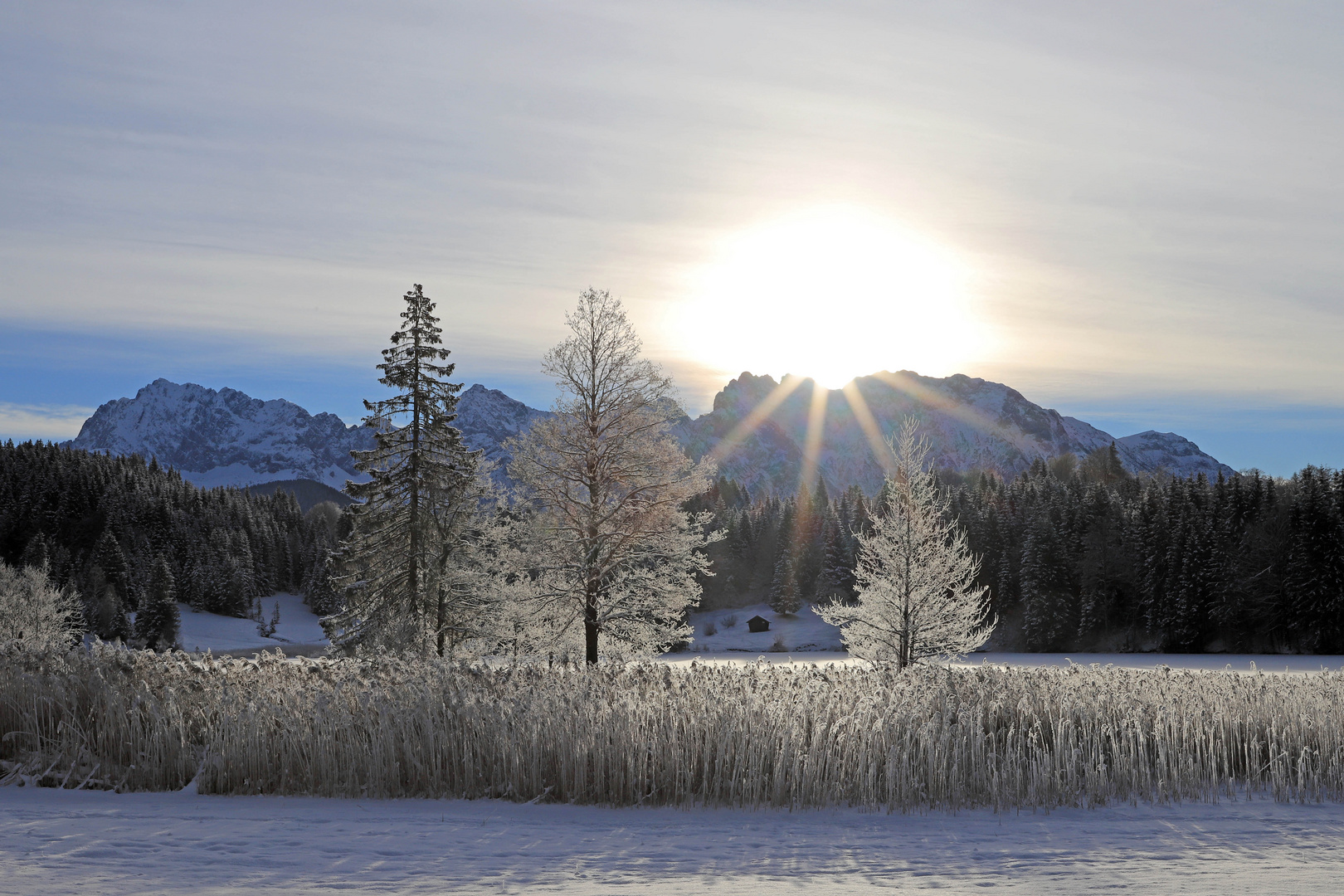 Traumhafter Wintermorgen