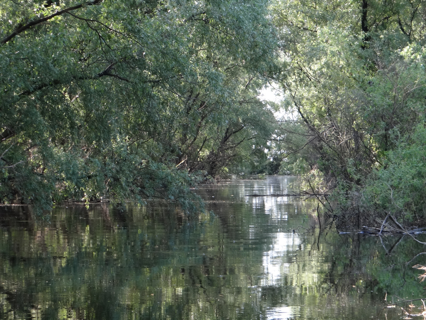 Traumhaftes Donaudelta