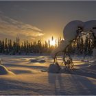 Traumhaftes Lappland
