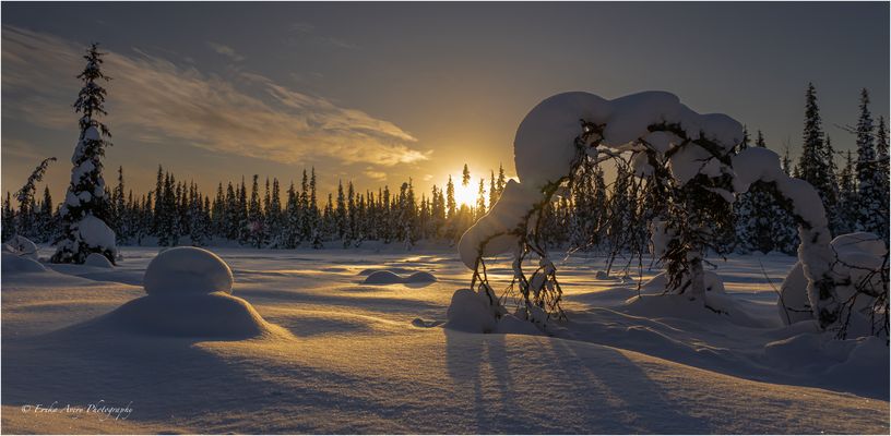 Traumhaftes Lappland