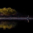 Traumhaftes Pantanal