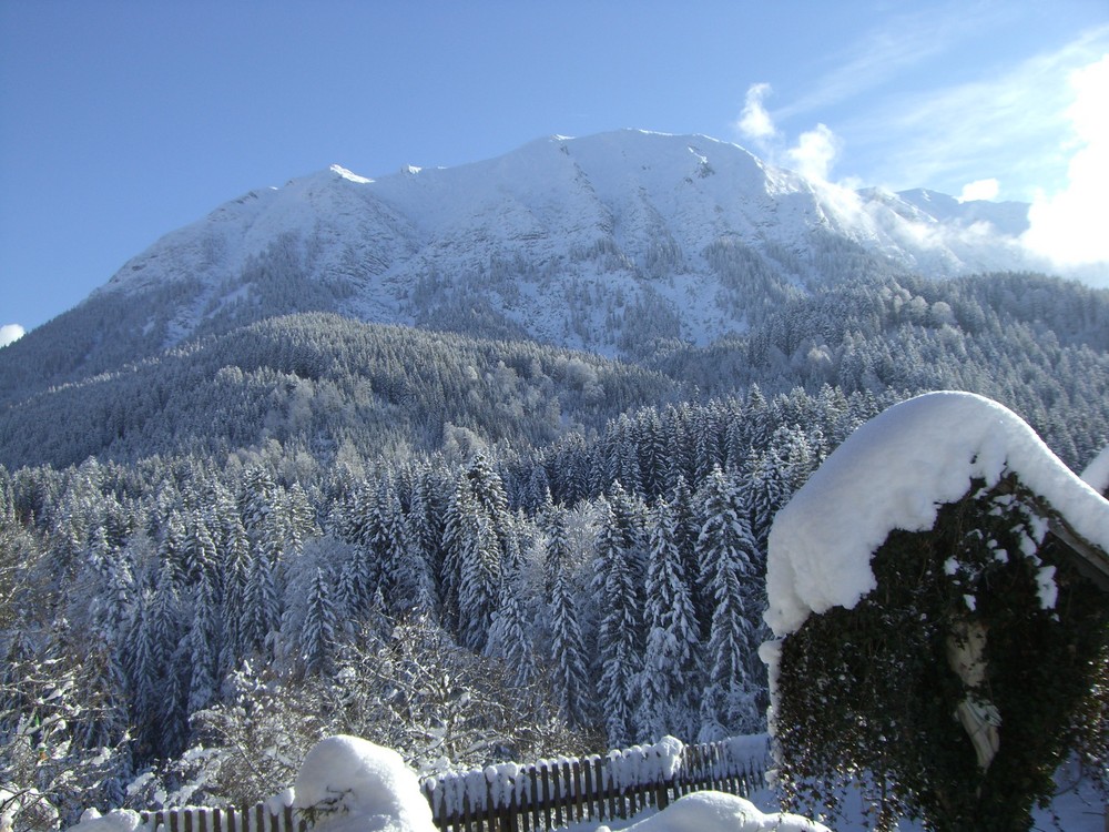 Traumhaftes Winterwetter von Celarek Monika 