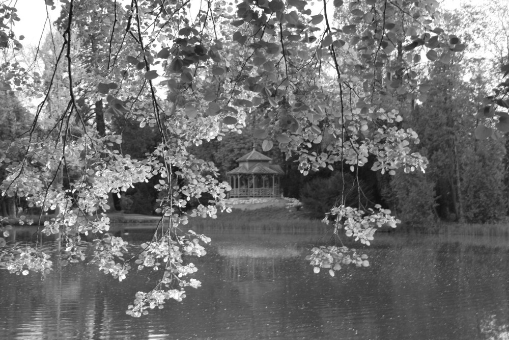 Traumhaus am Weiher