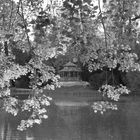 Traumhaus am Weiher