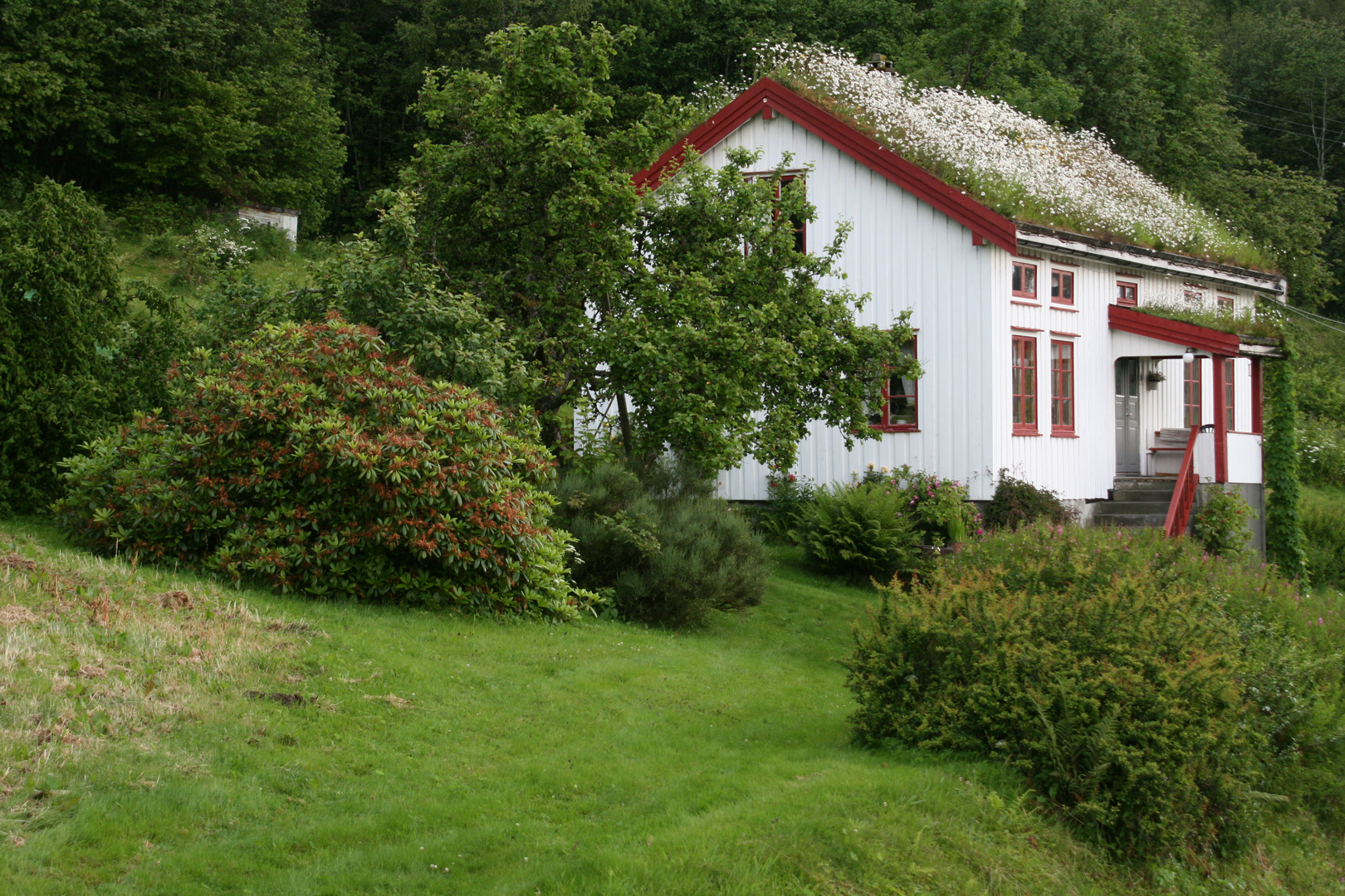 Traumhaus in Norwegen