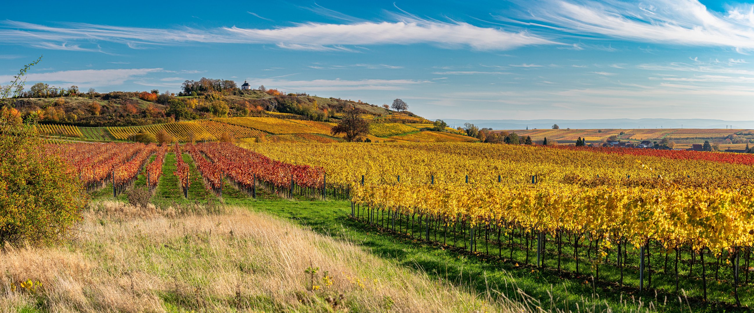 Traumherbst an der Kleinen Kalmit