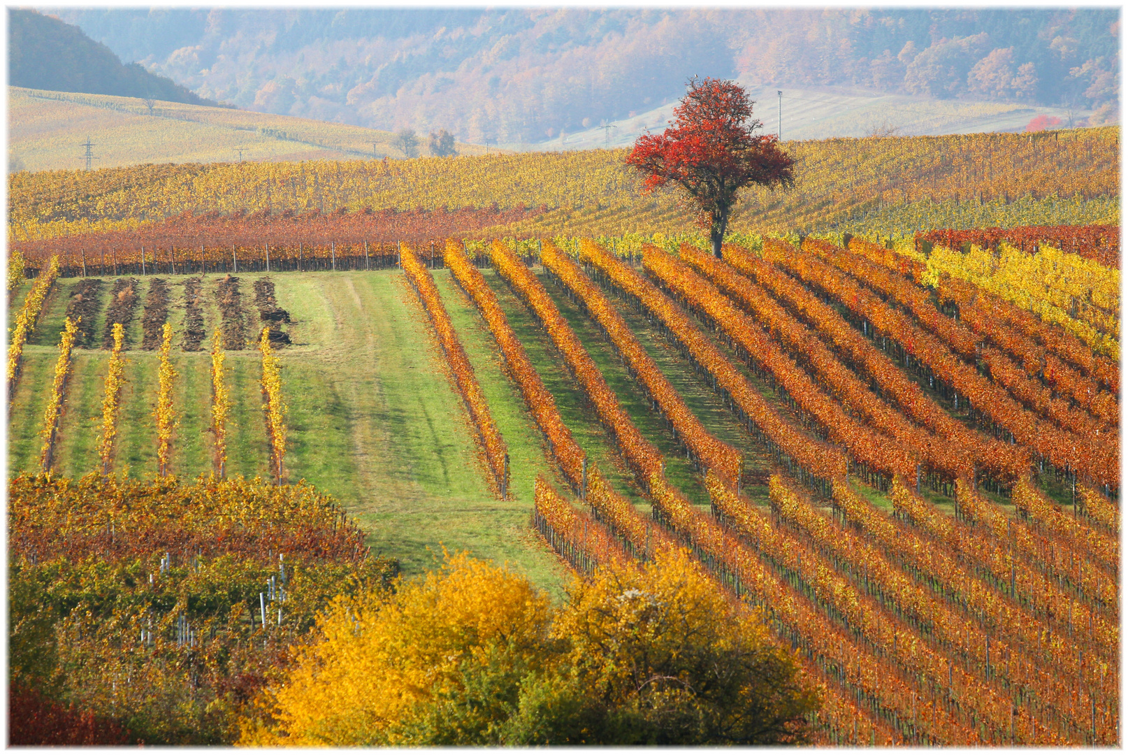 Traumherbst