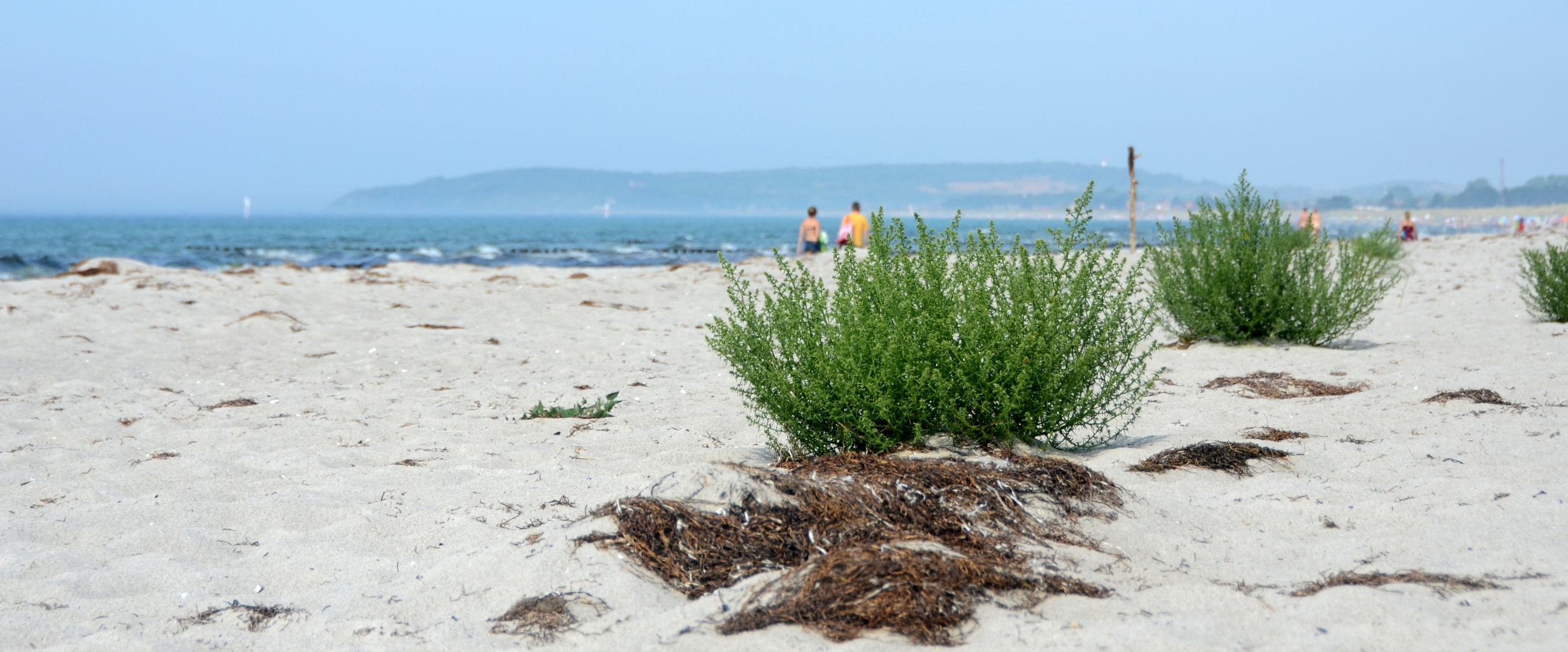 Trauminsel Hiddensee