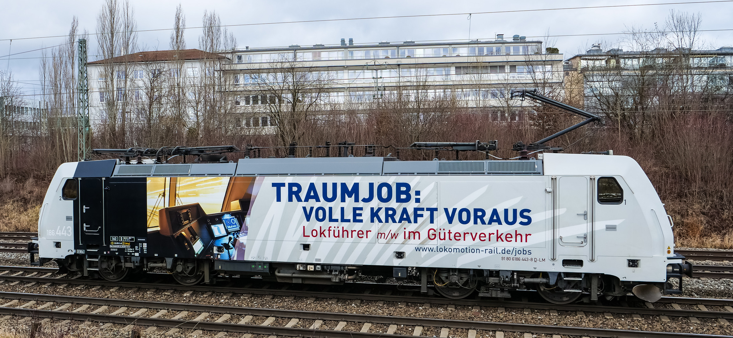 Traumjob ...